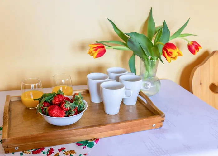 住宿加早餐酒店 Piekne Widoki