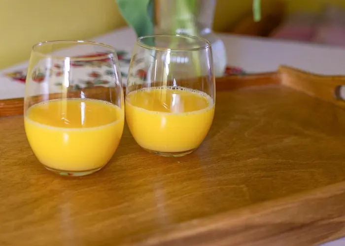 住宿加早餐酒店 Piekne Widoki 扎布